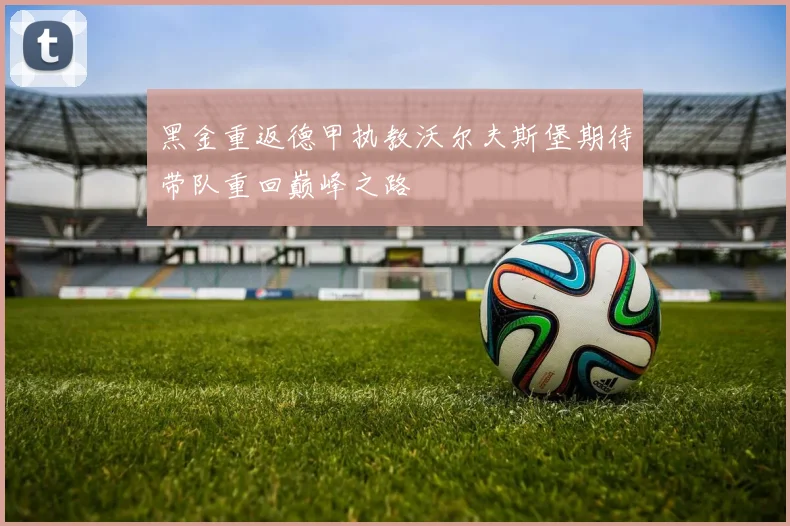 黑金重返德甲执教沃尔夫斯堡期待带队重回巅峰之路