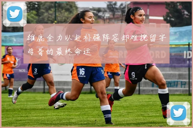 雄鹿全力以赴补强阵容却难挽留字母哥的最终命运